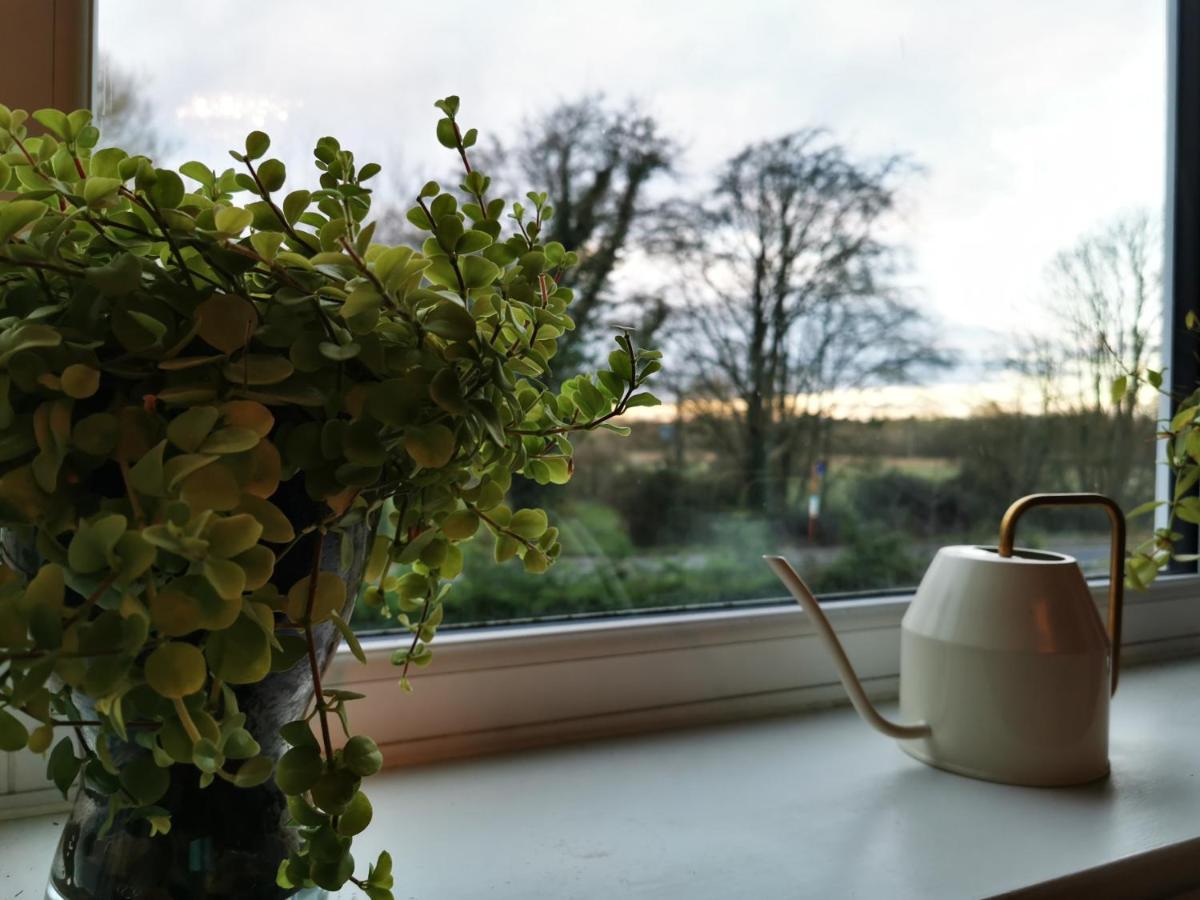 فوردنجبريدج Redbrook Farm Bnb - Gateway To The New Forest المظهر الخارجي الصورة