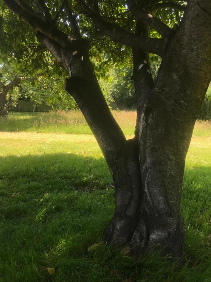 فوردنجبريدج Redbrook Farm Bnb - Gateway To The New Forest المظهر الخارجي الصورة