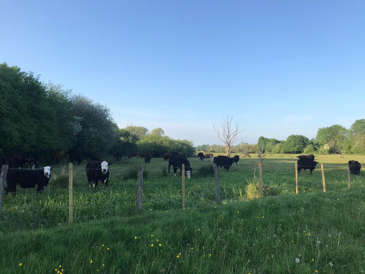 فوردنجبريدج Redbrook Farm Bnb - Gateway To The New Forest المظهر الخارجي الصورة