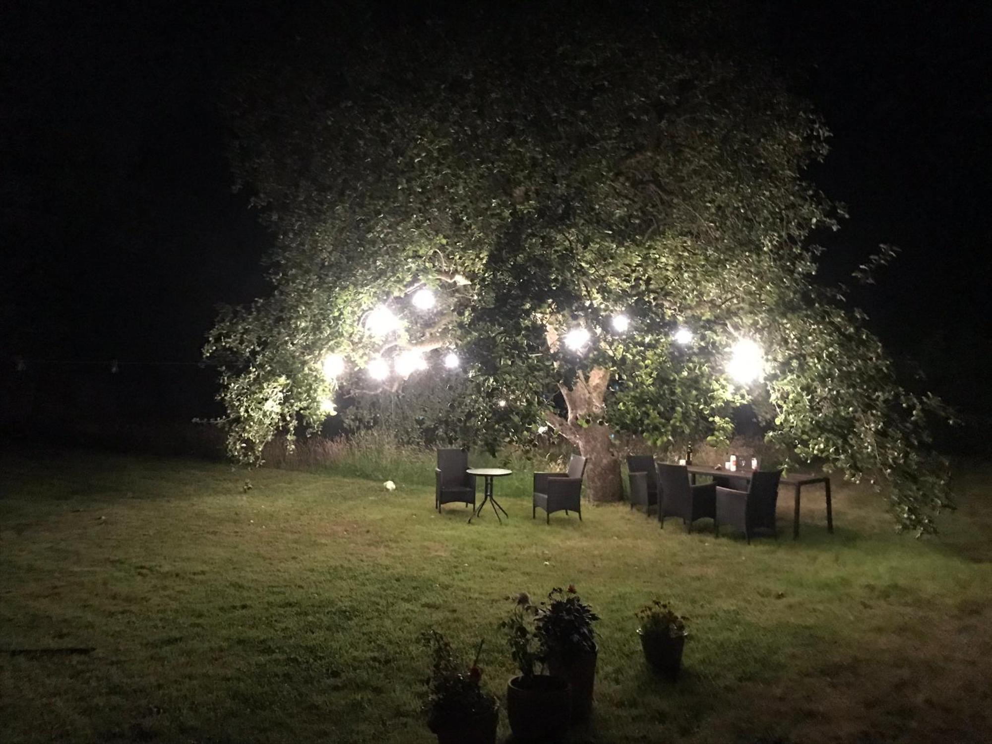 فوردنجبريدج Redbrook Farm Bnb - Gateway To The New Forest المظهر الخارجي الصورة
