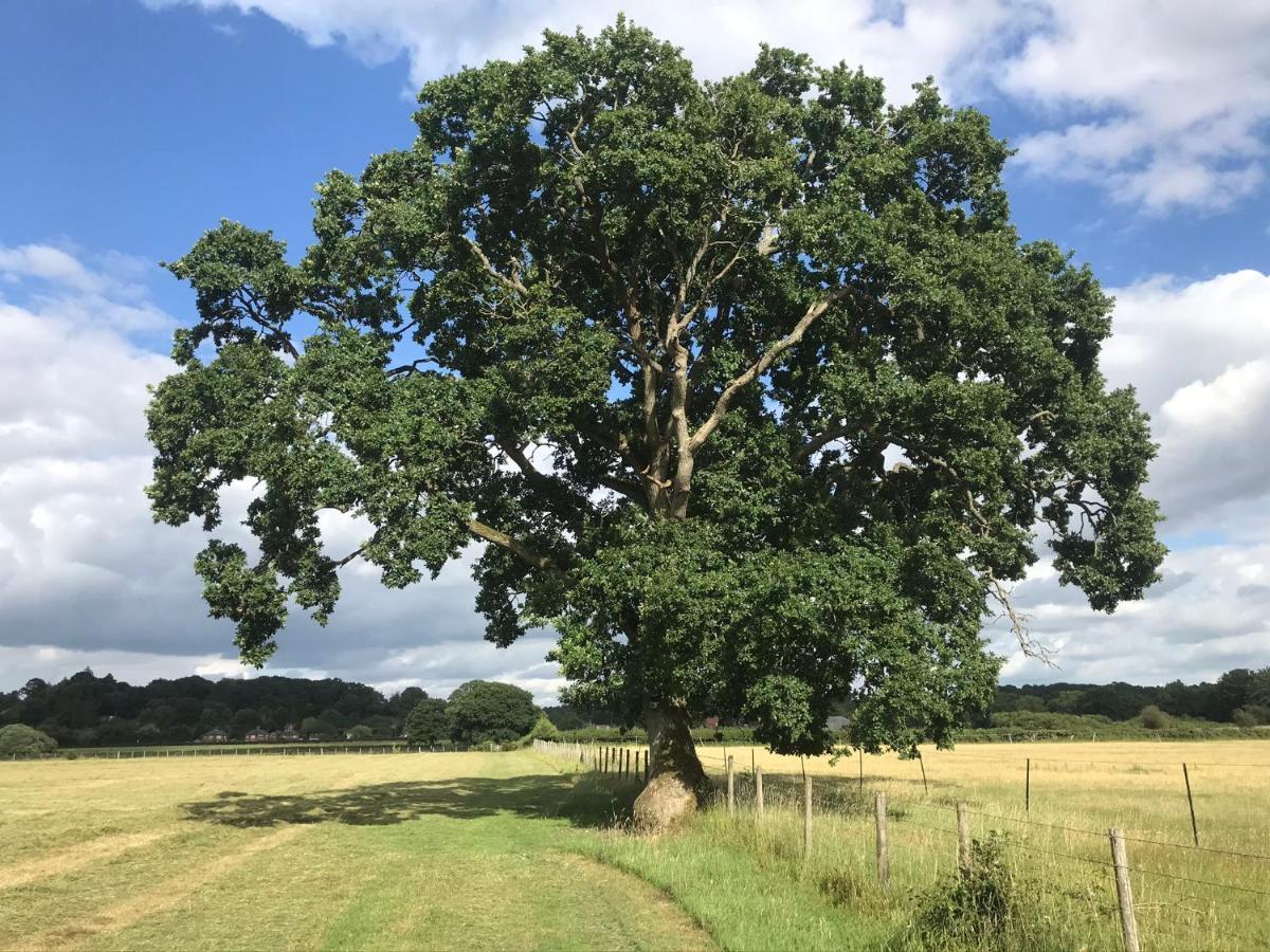 فوردنجبريدج Redbrook Farm Bnb - Gateway To The New Forest المظهر الخارجي الصورة