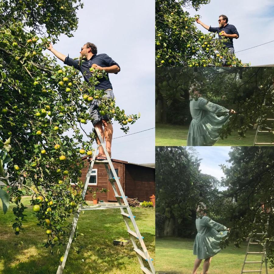فوردنجبريدج Redbrook Farm Bnb - Gateway To The New Forest المظهر الخارجي الصورة