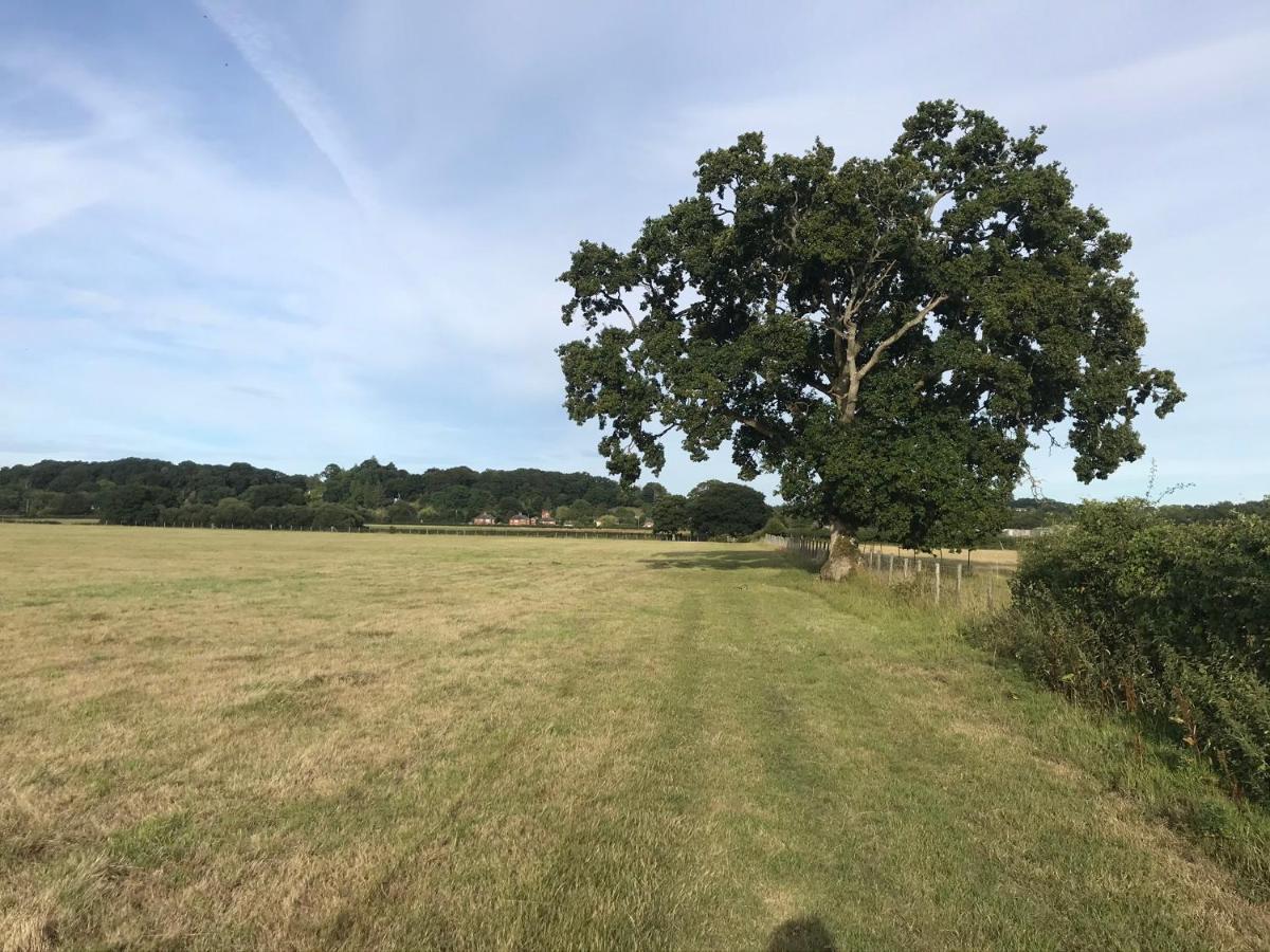 فوردنجبريدج Redbrook Farm Bnb - Gateway To The New Forest المظهر الخارجي الصورة