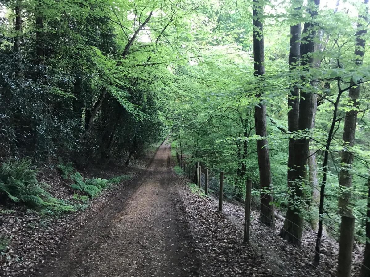فوردنجبريدج Redbrook Farm Bnb - Gateway To The New Forest المظهر الخارجي الصورة