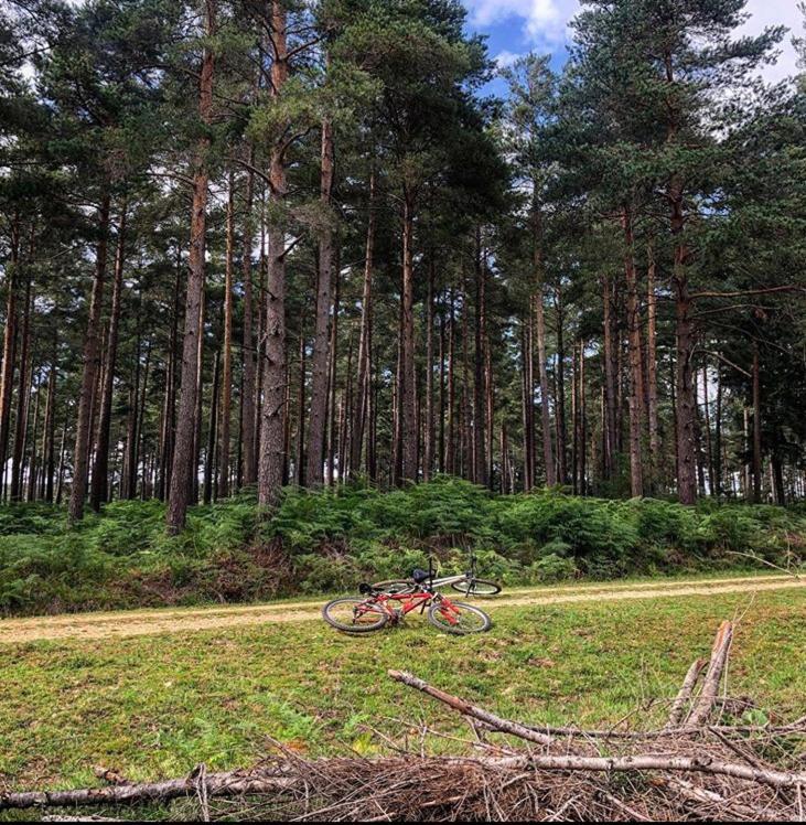 فوردنجبريدج Redbrook Farm Bnb - Gateway To The New Forest المظهر الخارجي الصورة