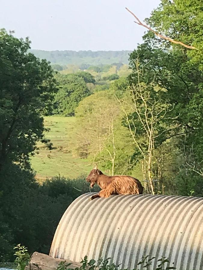 فوردنجبريدج Redbrook Farm Bnb - Gateway To The New Forest المظهر الخارجي الصورة