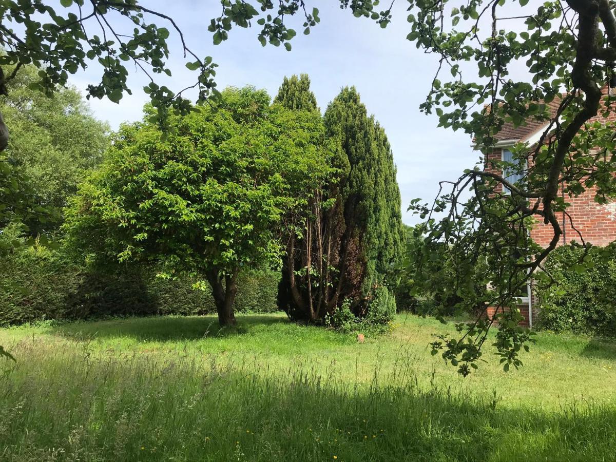 فوردنجبريدج Redbrook Farm Bnb - Gateway To The New Forest المظهر الخارجي الصورة